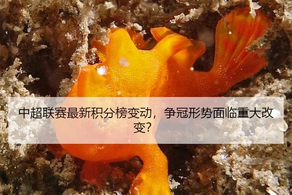 zhong-chao-lian-sai-zui-xin-ji-fen-bang-bian-dong-zheng-guan-xing-shi-mian-lin-zhong-da-gai-bian-2-958.jpg